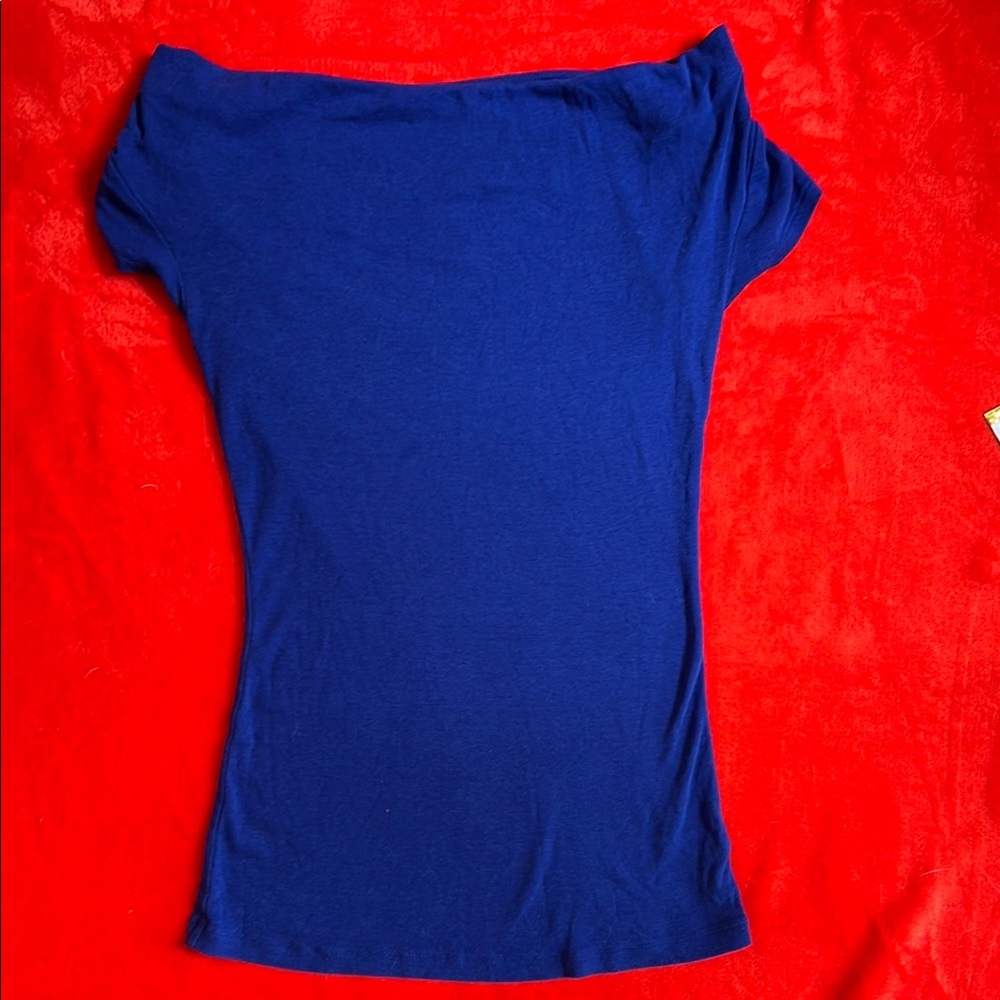 Express Blue Fitted Blouse with Cowl neck line